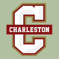 The Charleston Cougars Urban Hoodie | Teevron