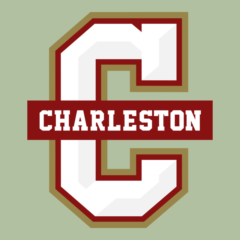 The Charleston Cougars Urban Hoodie by linhVisuals | Teevron