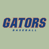 Gators Baseball Urban Hoodie | Teevron