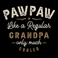 Mens Pawpaw Like A Regular Grandpa Funny Fathers Day Urban Hoodie | Teevron