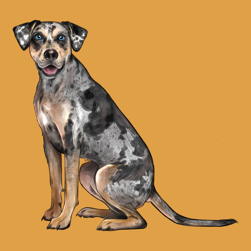Catahoula Leopard Dog Premium Hoodie by LillyAllenDesigns | Teevron
