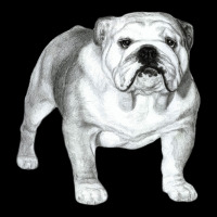 English Bulldog Art Urban Hoodie | Teevron