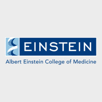 Albert Einstein College Of Medicine Urban Hoodie | Teevron
