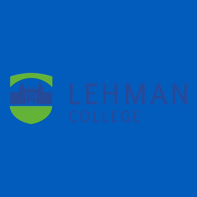 Lehman College Urban Hoodie by linhVisuals | Teevron