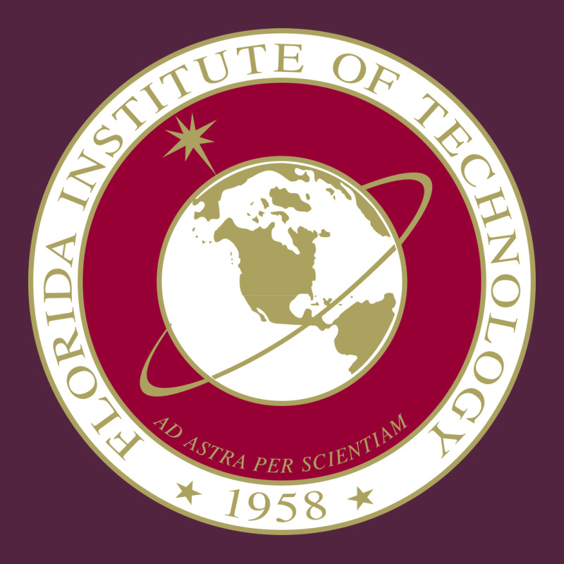 Florida Institute Of Technology Urban Hoodie by linhVisuals | Teevron