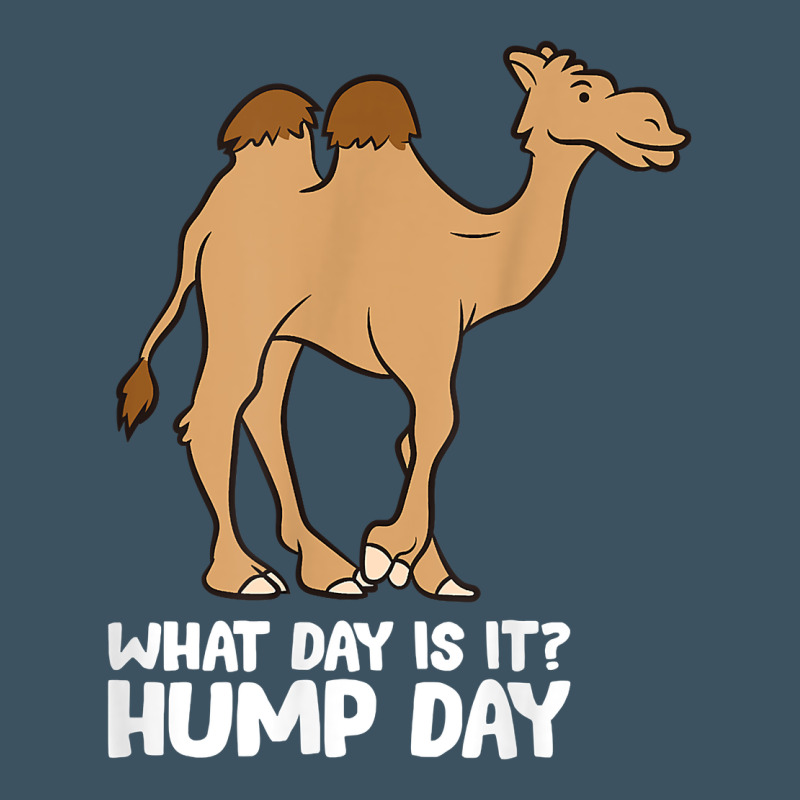 What Day Is It Hump Day Funny Camels Hump Day T Shirt Urban Hoodie by linhVisuals | Teevron