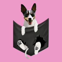 Rat Terrier Dog In Pocket, Rattie Puppy, Ratting Terrier T Shirt Urban Hoodie | Teevron