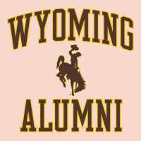 Wyoming Cowboys Apparel Alumni Classic Arch Long Sleeve T Shirt Urban Hoodie | Teevron