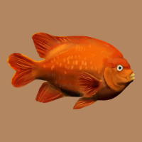California Garibaldi Fish Long Sleeve Tee | Teevron