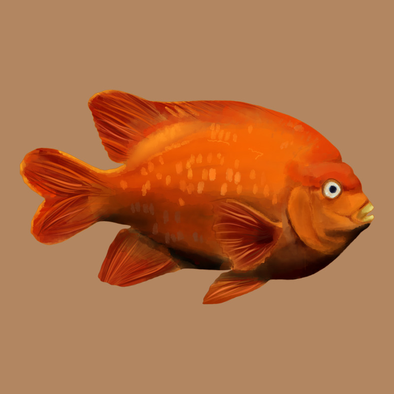 California Garibaldi Fish Long Sleeve Tee by RanaPortraitStore | Teevron