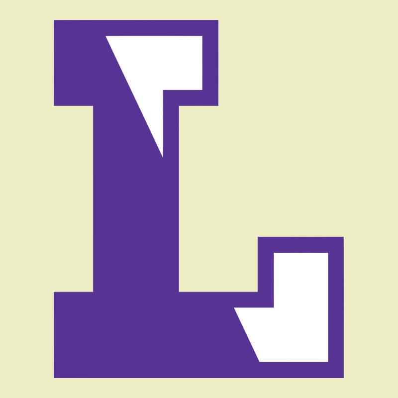 Boston Latin School Urban Hoodie by linhVisuals | Teevron