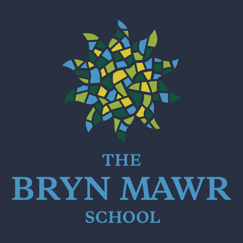 Bryn Mawr School Urban Hoodie by linhVisuals | Teevron