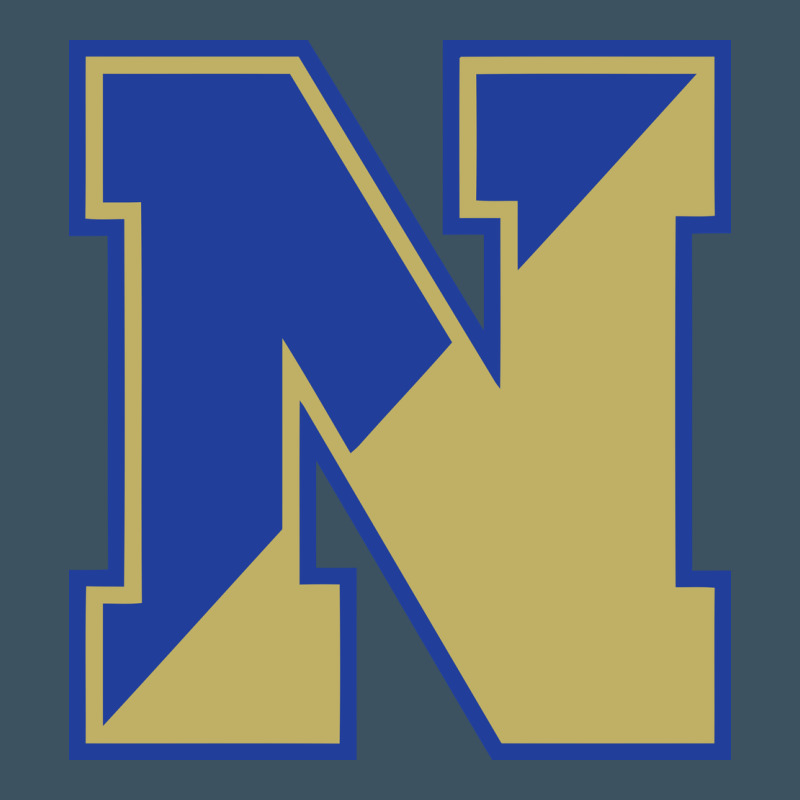 Norwell High School Urban Hoodie by linhVisuals | Teevron