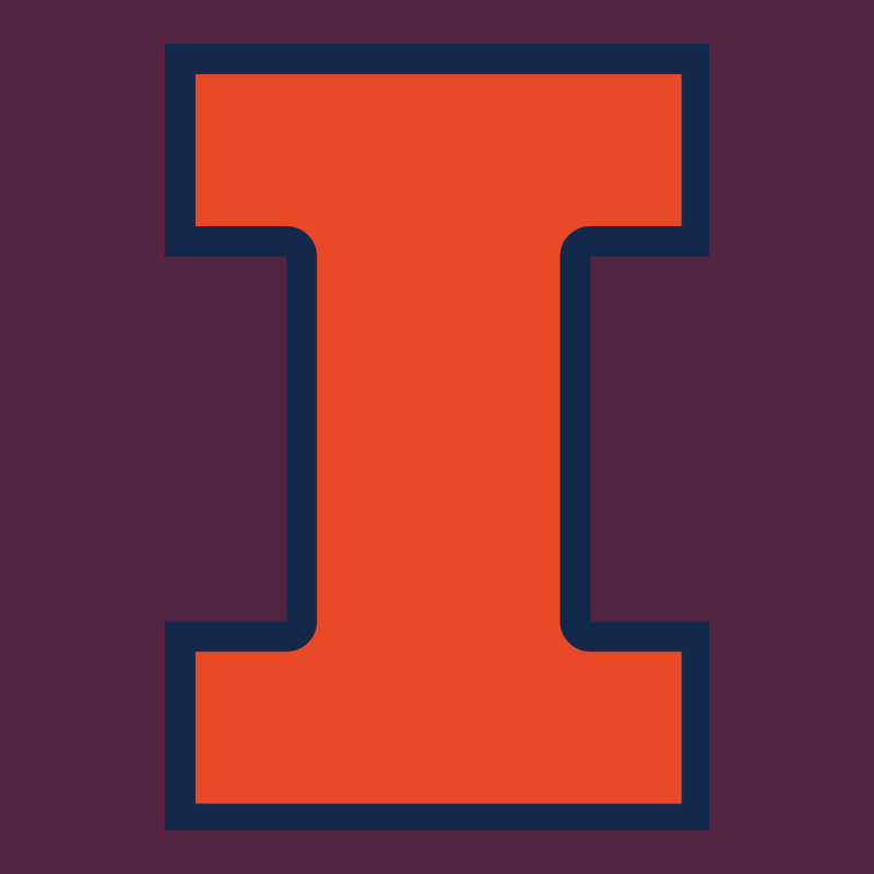 Illinois Urban Hoodie by linhVisuals | Teevron