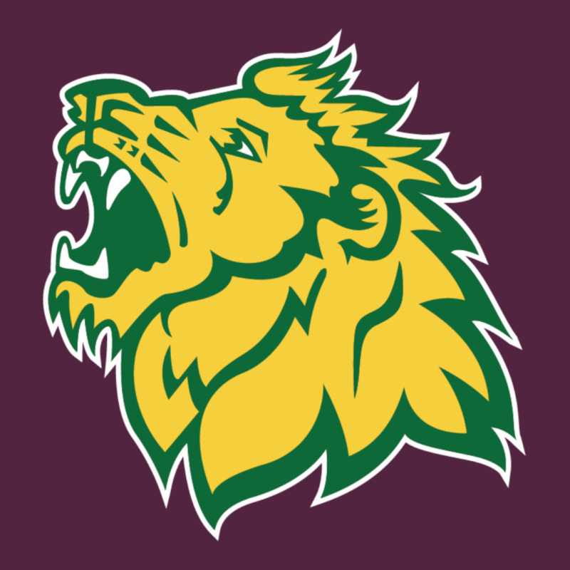 Missouri Southern, Mssu Lions Urban Hoodie by linhVisuals | Teevron