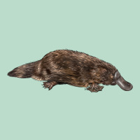 Platypus Premium Hoodie | Teevron