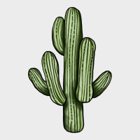 Cactus Urban Hoodie | Teevron