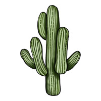 cactus | Teevron