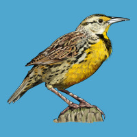 Western Meadowlark Premium Hoodie | Teevron