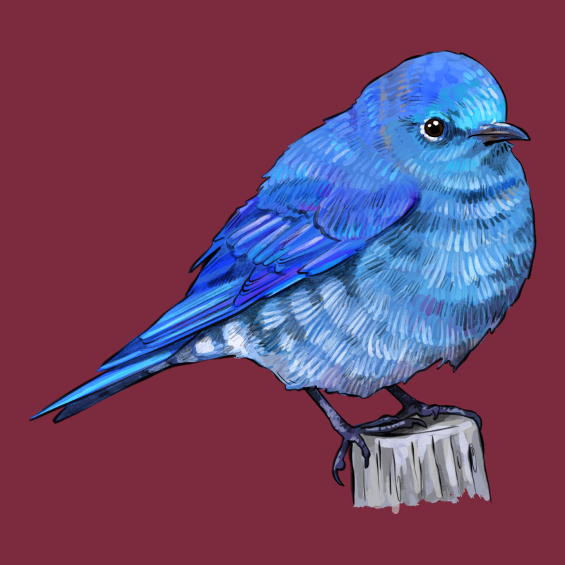 Mountain Bluebird Premium Hoodie by LillyAllenDesigns | Teevron