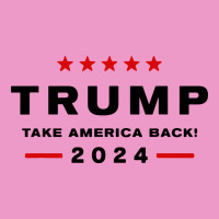 Donald Trump 2024 Take America Back Urban Hoodie | Teevron