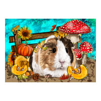 Guinea Pig Kid's | Teevron