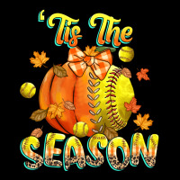 Its The Season Softball Premium Tee | Teevron
