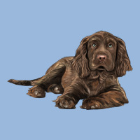 Sussex Spaniels Llustrations Premium Hoodie | Teevron