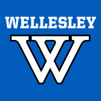 Wellesley Urban Hoodie | Teevron