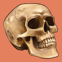 Skull Classic Tee | Teevron