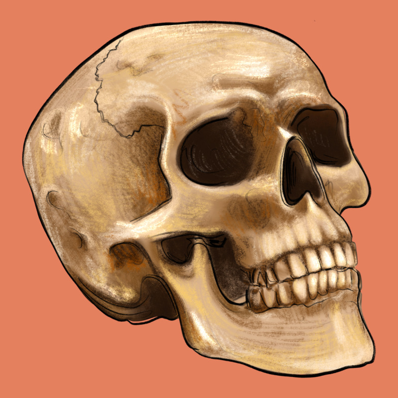Skull Classic Tee by Artiststas | Teevron