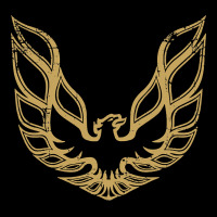 Trans Am Urban Hoodie | Teevron