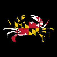 Maryland Crab State Pride Flag Urban Hoodie | Teevron