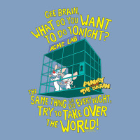 Pinky And The Brain The World Urban Hoodie | Teevron