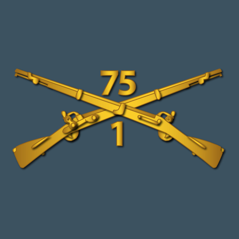 1st Bn 75th Infantry Regiment Ranger Branch Wo Txt Urban Hoodie by maiPhamDesign | Teevron