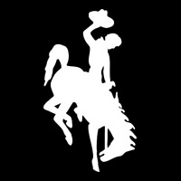 Wyoming Cowboys Ladies Tee | Teevron