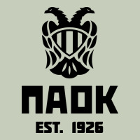 Paok Merch Ladies Tee | Teevron