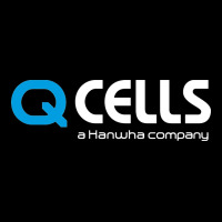 Mesmerizing Q Cells Ladies Tee | Teevron