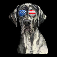 Great Dane Sunglasses American Usa Flag 4th Of July Fourth T Shirt Ladies Tee | Teevron