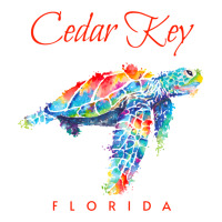 Cedar Key Florida Watercolor Sea Turtle Sweatshirt | Teevron
