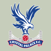 The-crystal-palace-f.c.-cool Ladies Tee | Teevron