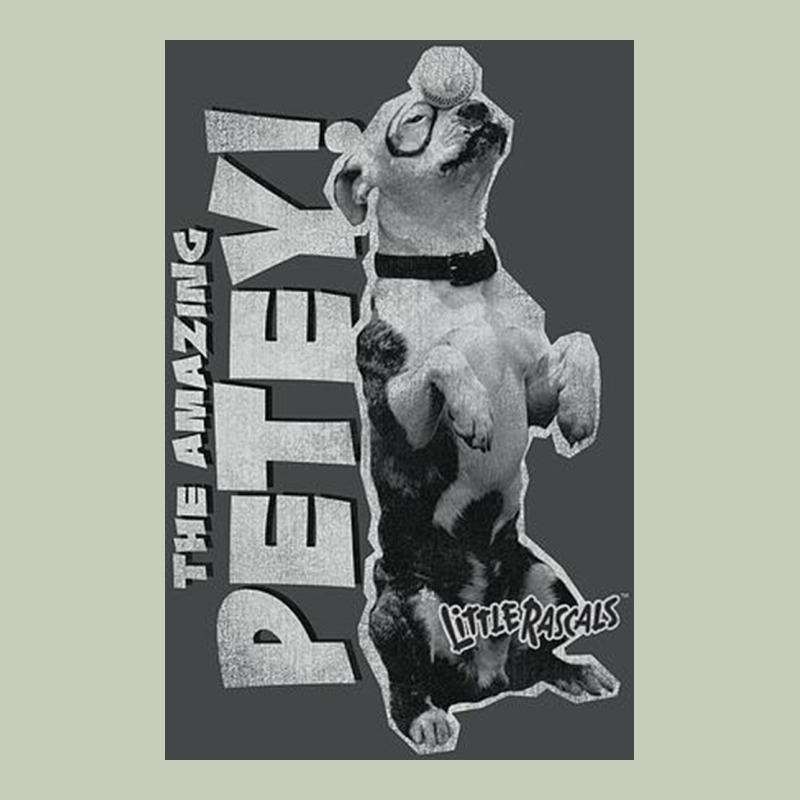 Little Rascals, Amazing Petey Ladies Tee by InspiraDesign | Teevron