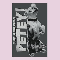 Little Rascals, Amazing Petey Ladies Tee | Teevron