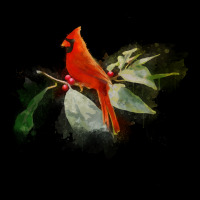 Wild Red Cardinal Bird Long Sleeve Ladies Tee | Teevron