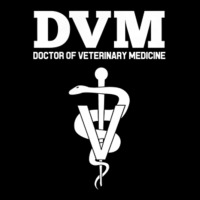 Doctor Of Veterinary Medicine Dvm Veterinarian Vet Tech Ladies Tee | Teevron