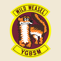 Air Force Wild Weasel Ygbsm Ladies Tee | Teevron
