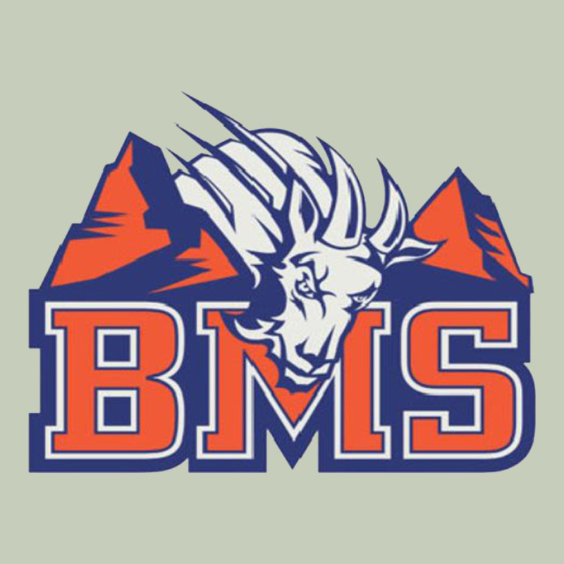 Blue Mountain State Ladies Tee by ArtMosaic | Teevron