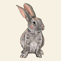 Easter Bunny Vintage Tee | Teevron