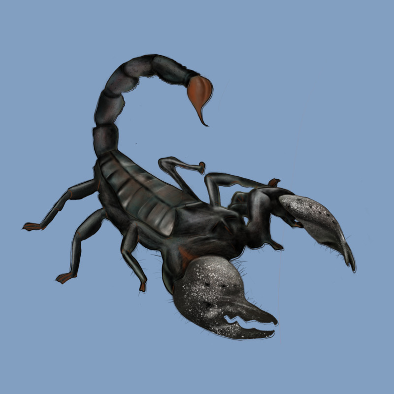 Scorpion Urban Hoodie by JahusDesignShop | Teevron