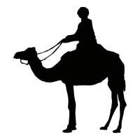 camel rider | Teevron